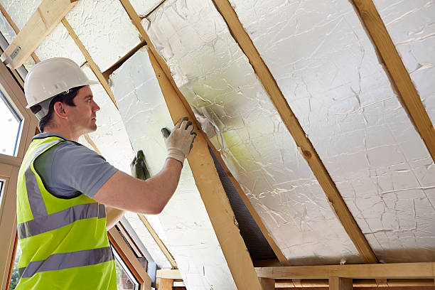Best Local Insulation Services  in Evansville, WI